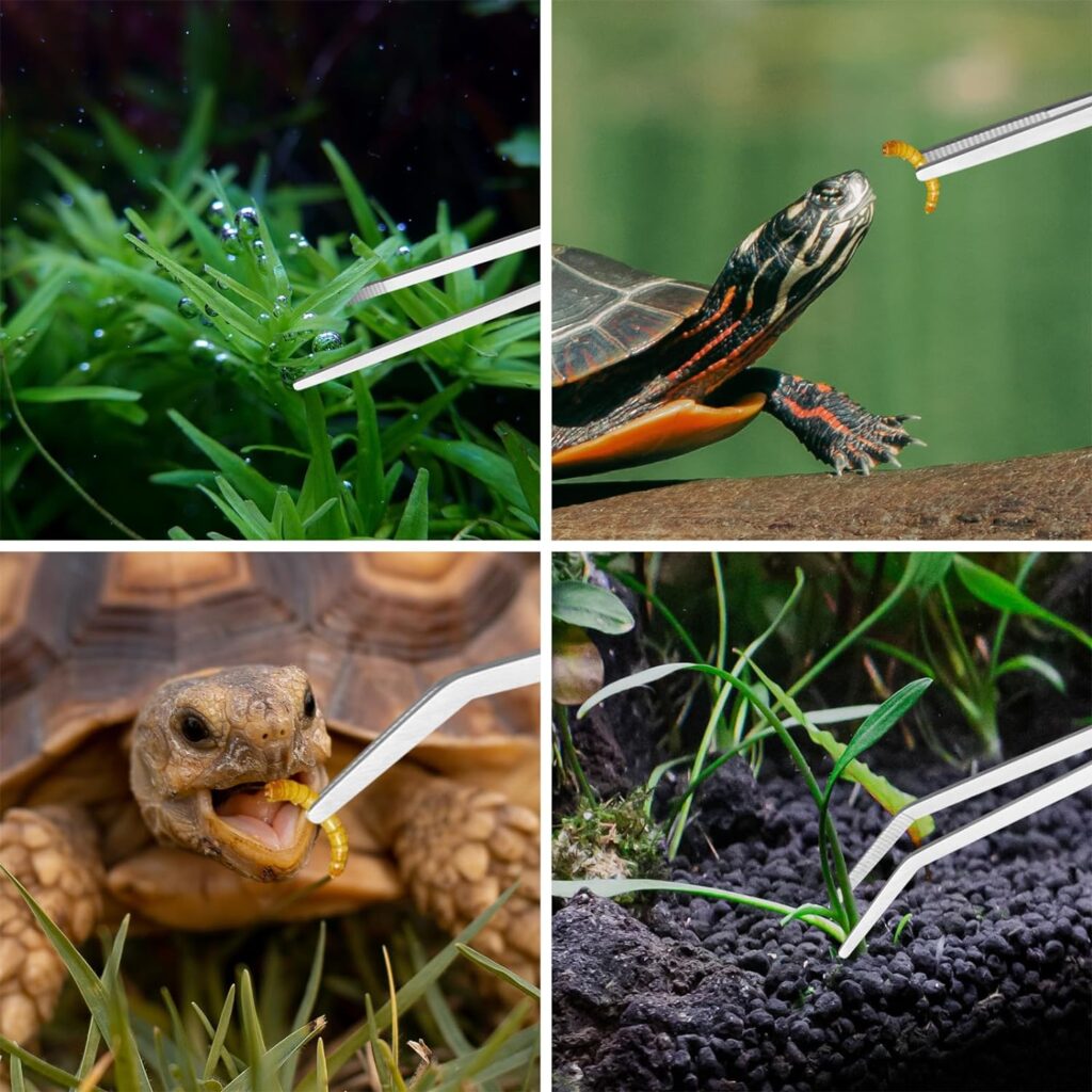 Aquascape Tools Aquarium Kit - 4PCS Terrarium Supplies Include Long Tweezers for Terrarium, Feeding Tongs, Aquarium Scissors, Aquarium Algae Scraper for Fish Tank Cleaning Plant Trimming Aquascape Tools Aquarium Kit - 4PCS Terrarium Supplies Include Long Tweezers for Terrarium, Feeding Tongs, Aquarium Scissors, Aquarium Algae Scraper for Fish Tank Cleaning Plant Trimming